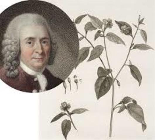 Carolus Linneaus