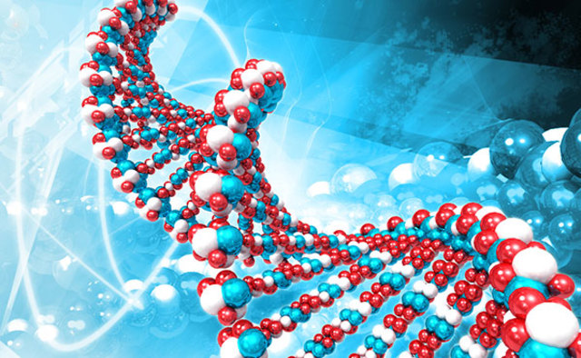 Открытие структуры ДНК