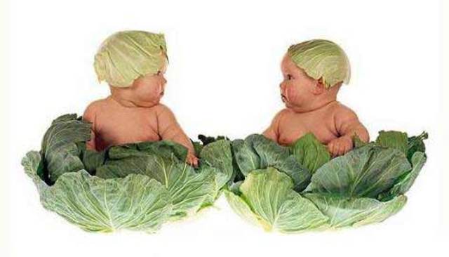 Рождение двоих детей