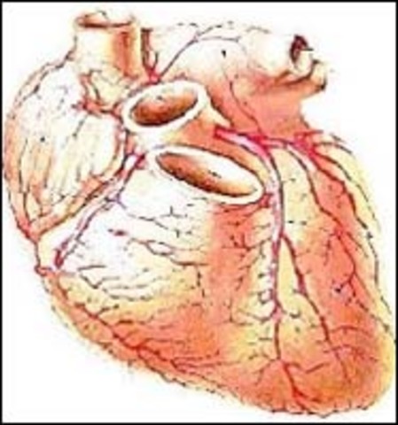 Первая пересадка человеческого сердца