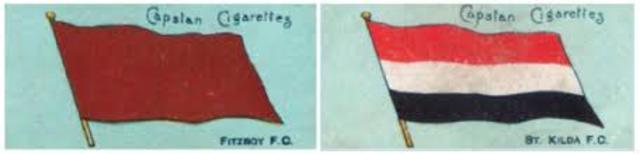 St Kilda played in their first Grand Final