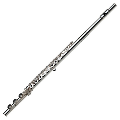 Started Playing Flute