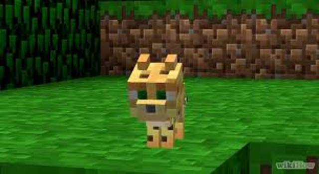 Pocket Edition is Released