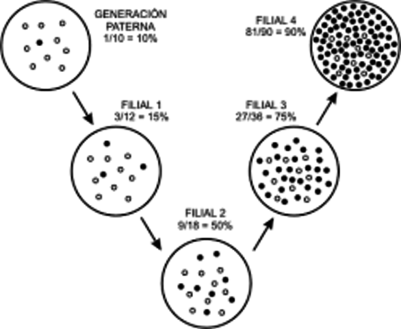 Aislar el material genético