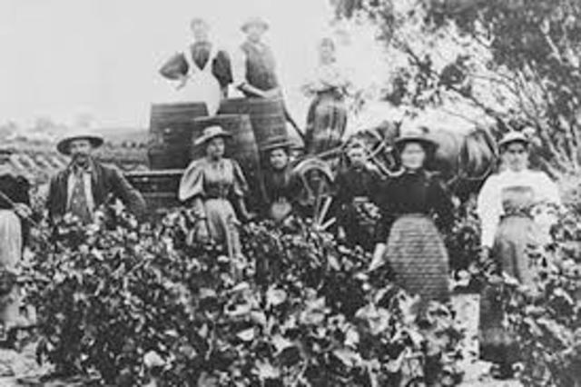 British Stop Transporting Prisoners to Australia