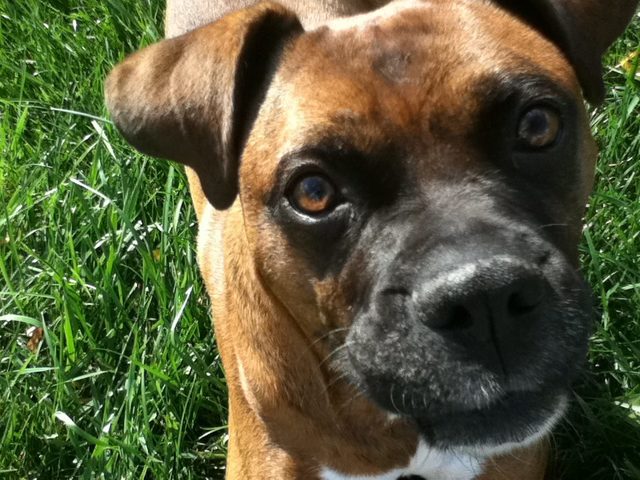 Met Hooch for First Time