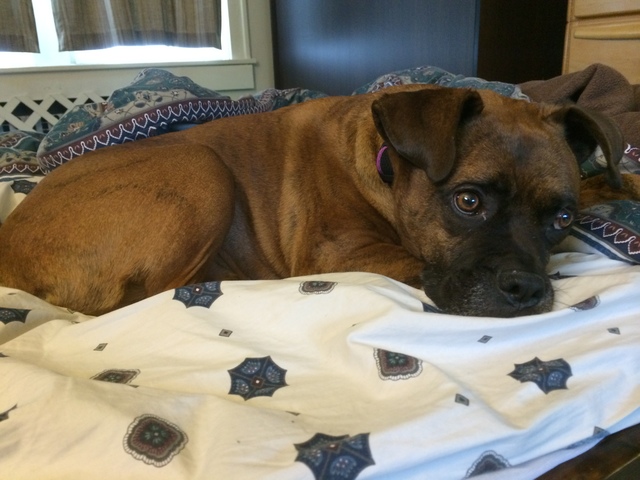 Hooch Becomes a Blog Topic