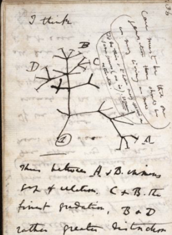 Acabà d'escriure el seu diari