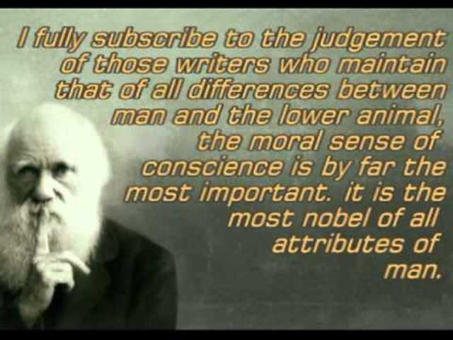 Redacció del document