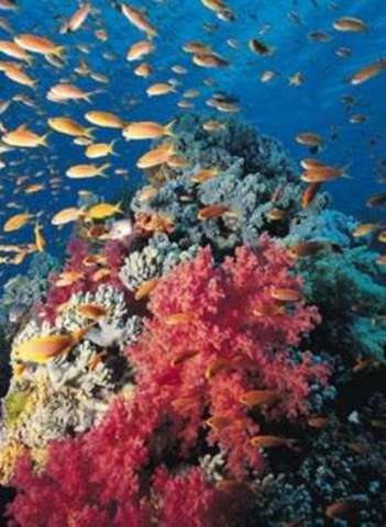 Començà a esbossar les seves teories