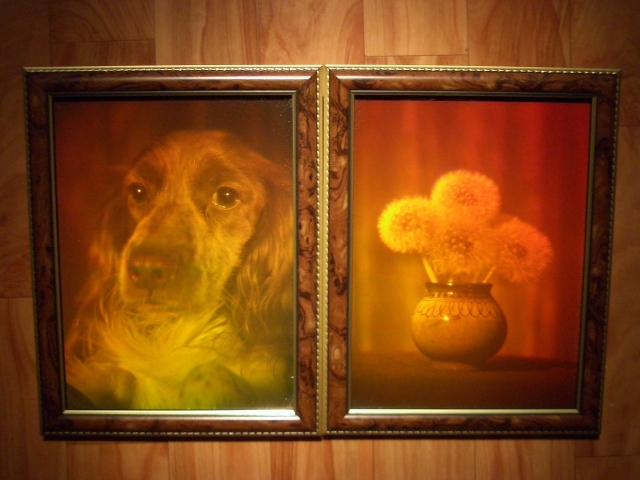 голография