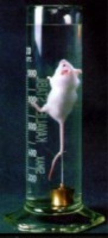 Перфоран: люди, причастные к созданию