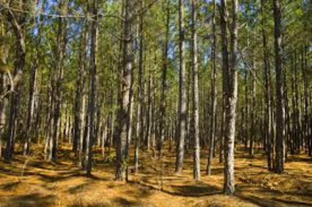 Manufacturing Takes Off