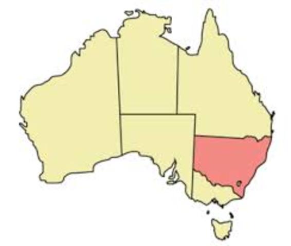 New South Wales was officially a penal colony consisting mainly of convicts, marines, and the marines’ families