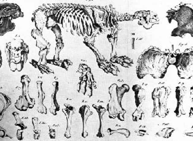 Descobriment a Punta Alta.