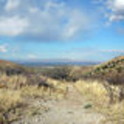 Battle of Apache Pass