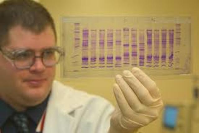 DNA Profiling