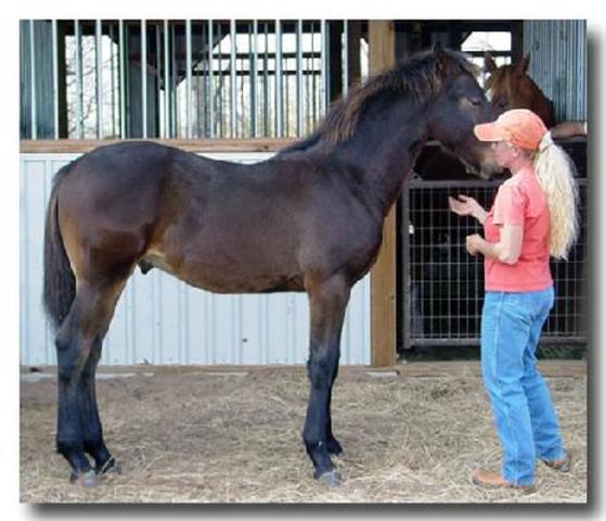 Death of Twain's Father