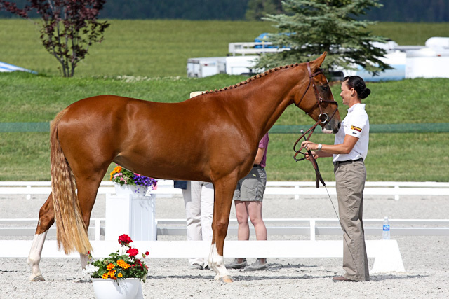 Death of Twain's Brother