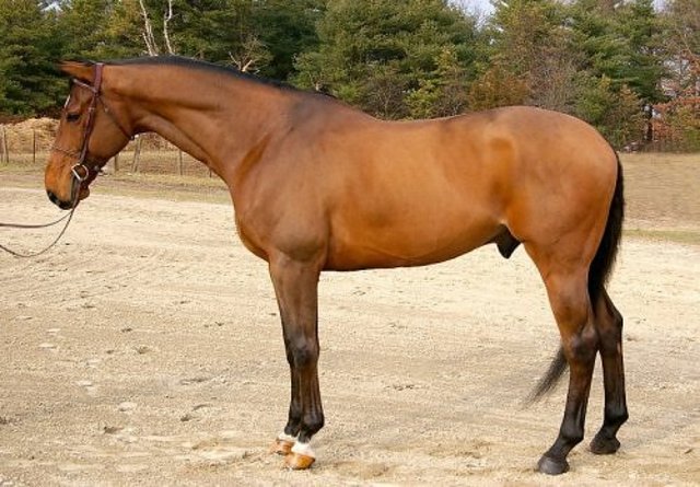 "Jumping Frog" Published