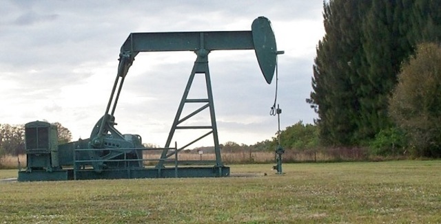 Oil