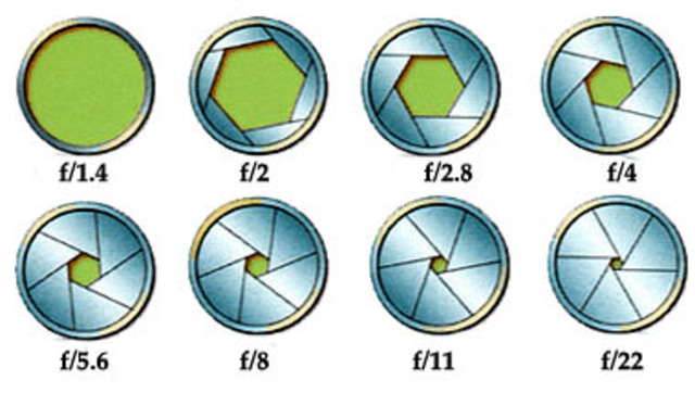 El diafragma - Daniele Barbaro
