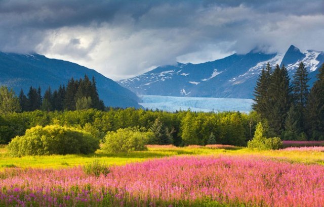 Продажа Аляски