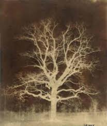 Walter Fox Tabolt "positivo- negativo"