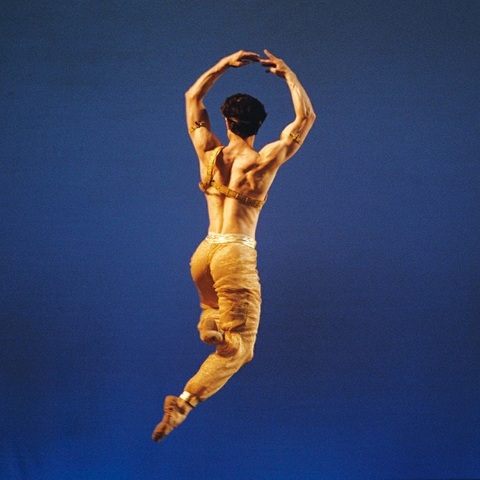 Telstra Ballet Dancer Award