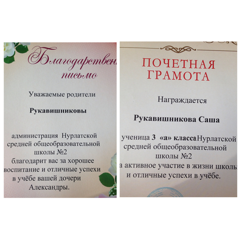 Школьные достижения