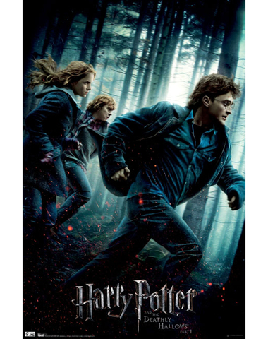 Pubblication of the film HARRY POTTER AND THE DEATHLY HALLOWS - PART 1