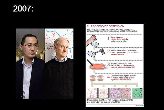 James Thompson y Shinya Yamanaka. Transformación de células de la piel humana en células madre embrionarias.