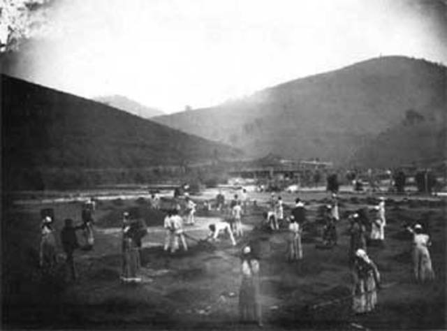 Imagen con gelatino de bromuro, 1882