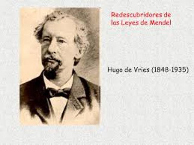El genetista holandés Hugo De Vries (1848-1935), en colaboración con otros investigadores, «redescubrieron» los hallazgos de Mendel: