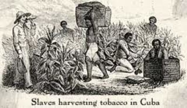 1513 to 1727: Slave History in Cuba