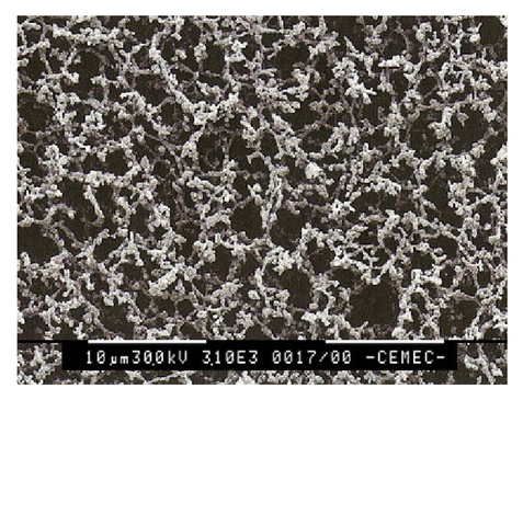 CELULOSA Y ACETATO DE CELULOSA