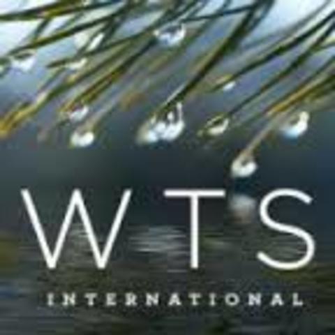 WTS International