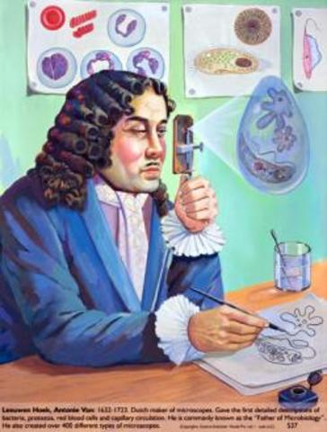 Anton van Leeuwenhoek.