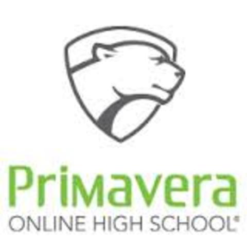 Started Online school