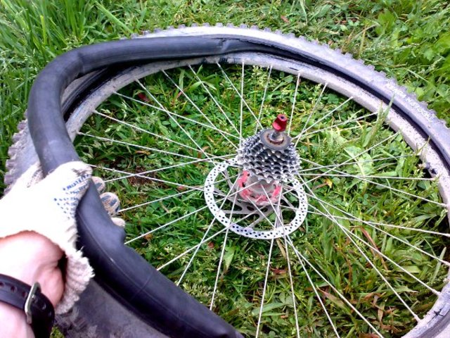 Пневматическая шина