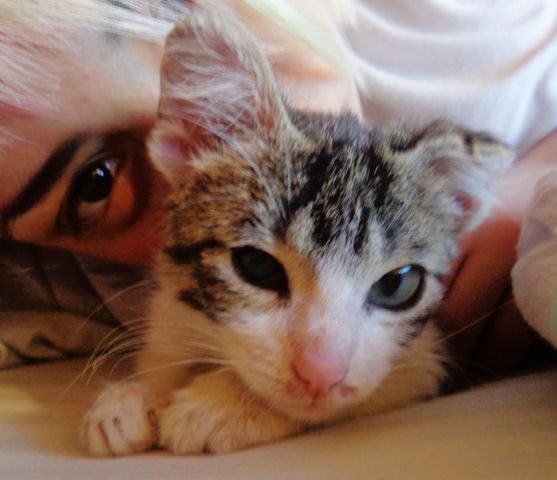 Primer dias con Ramona.