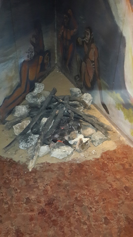 סיור במוזיאון האדם והחי