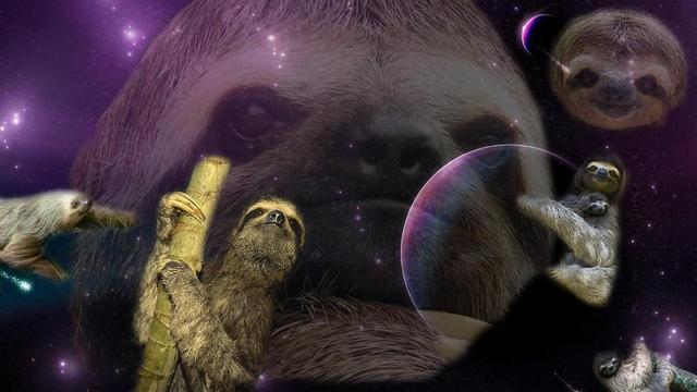 Discover a species of space sloths while I'm sitting at my beach house