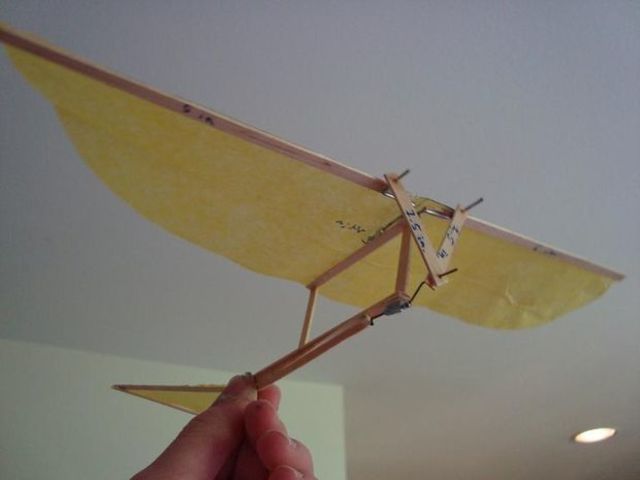 Leonardo Da Vinci Ornithopter