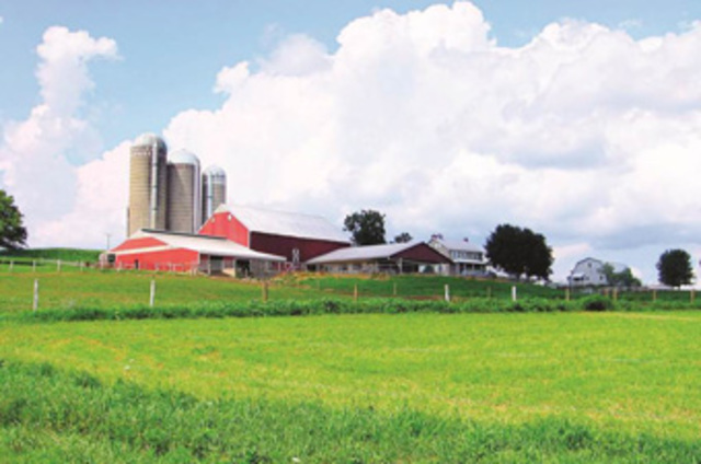 The New Economic Policy