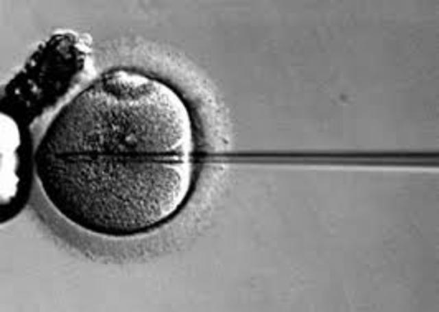 NASCE O 1º BEBÊ DE PROVETA DO BRASIL