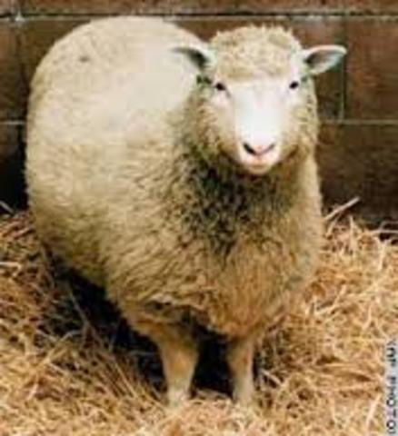 CLONAGEM DA OVELHA DOLLY