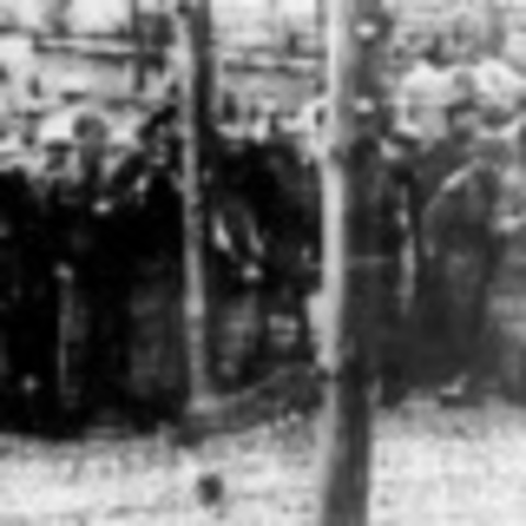 Liberation of Madjdanek