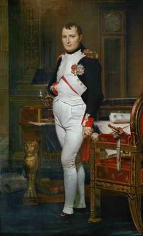 Napoleon Bonaparte Takes Charge
