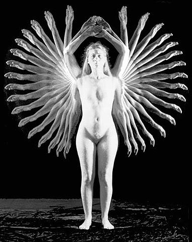 Trabajos experiementales